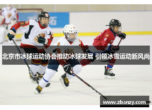 北京市冰球运动协会推动冰球发展 引领冰雪运动新风尚